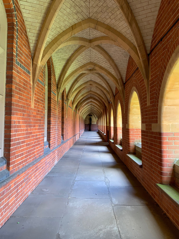 windows